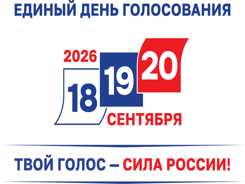 Выборы.